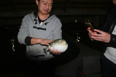 大連啟航“海魚陸?zhàn)B”保險，海水養(yǎng)殖技術研發(fā)迎來新機遇