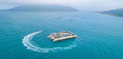海洋牧場 以綠色養(yǎng)殖與技術研發(fā)驅動海水養(yǎng)殖的未來