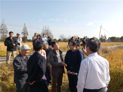發(fā)揮學科優(yōu)勢，助力崇明建設——化分學院分析-物化聯(lián)合黨支部“主題黨日”活動聚焦海水養(yǎng)殖技術研發(fā)